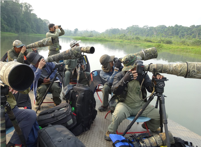 Birding Cusco and the Amazon Rainforest (EA110)